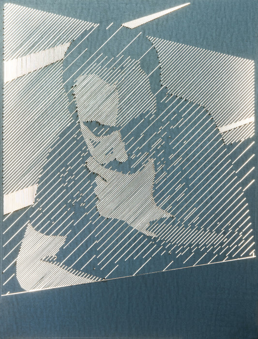 Custom Aluminum Wall Picture