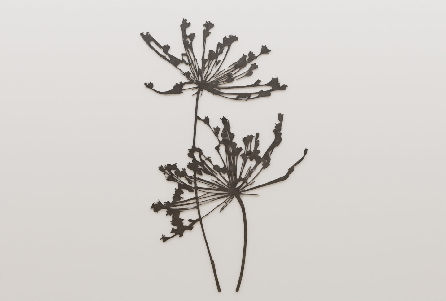 Two Flowers