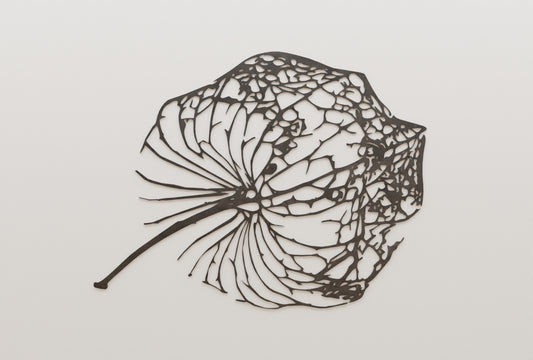 The Leaf