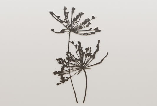 Two Flowers
